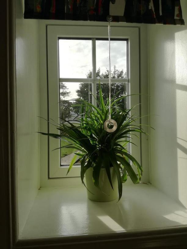 Rosengaard Holiday Apartment And B&B Bramming Esterno foto
